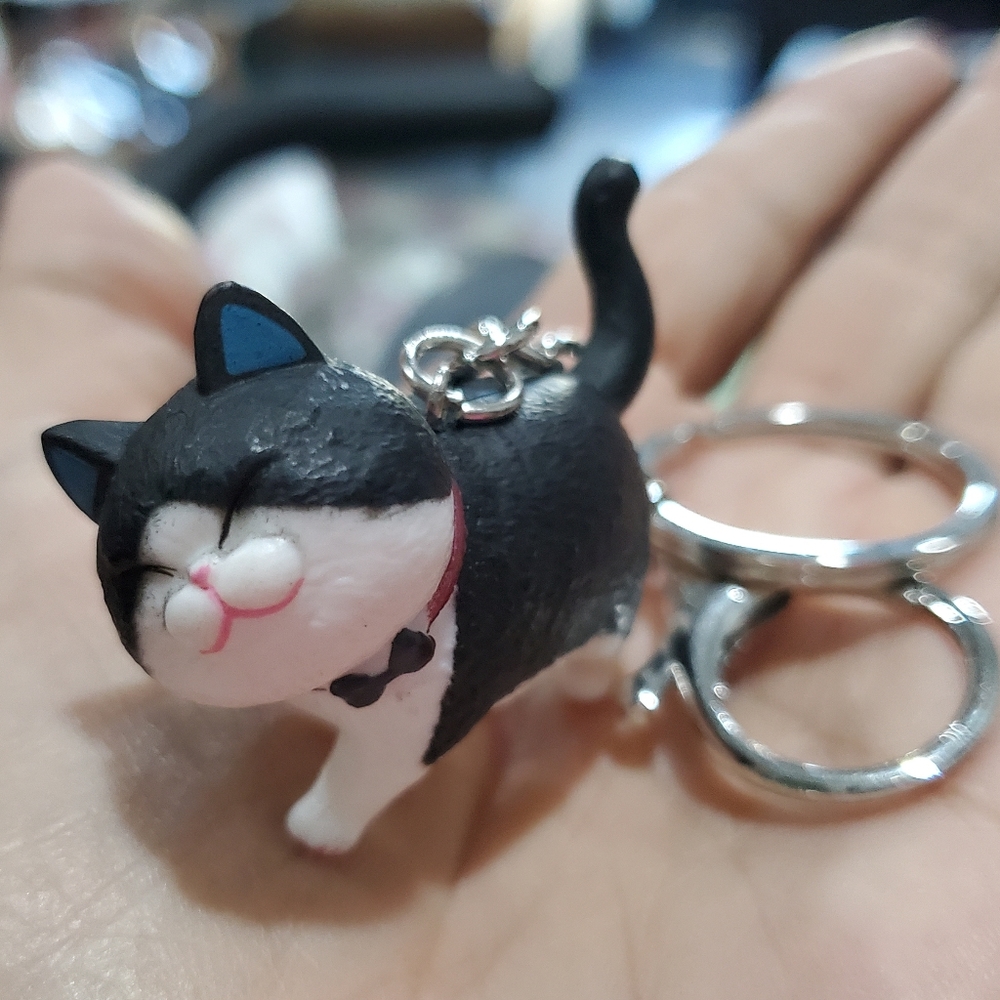 NEW BOY Cat 🐈‍⬛ Keychain So Cute L👀K Key Ring